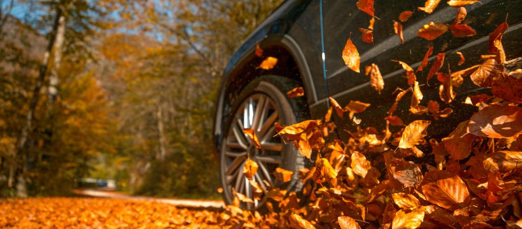 Laub auf der Straße, Auto fährt durch